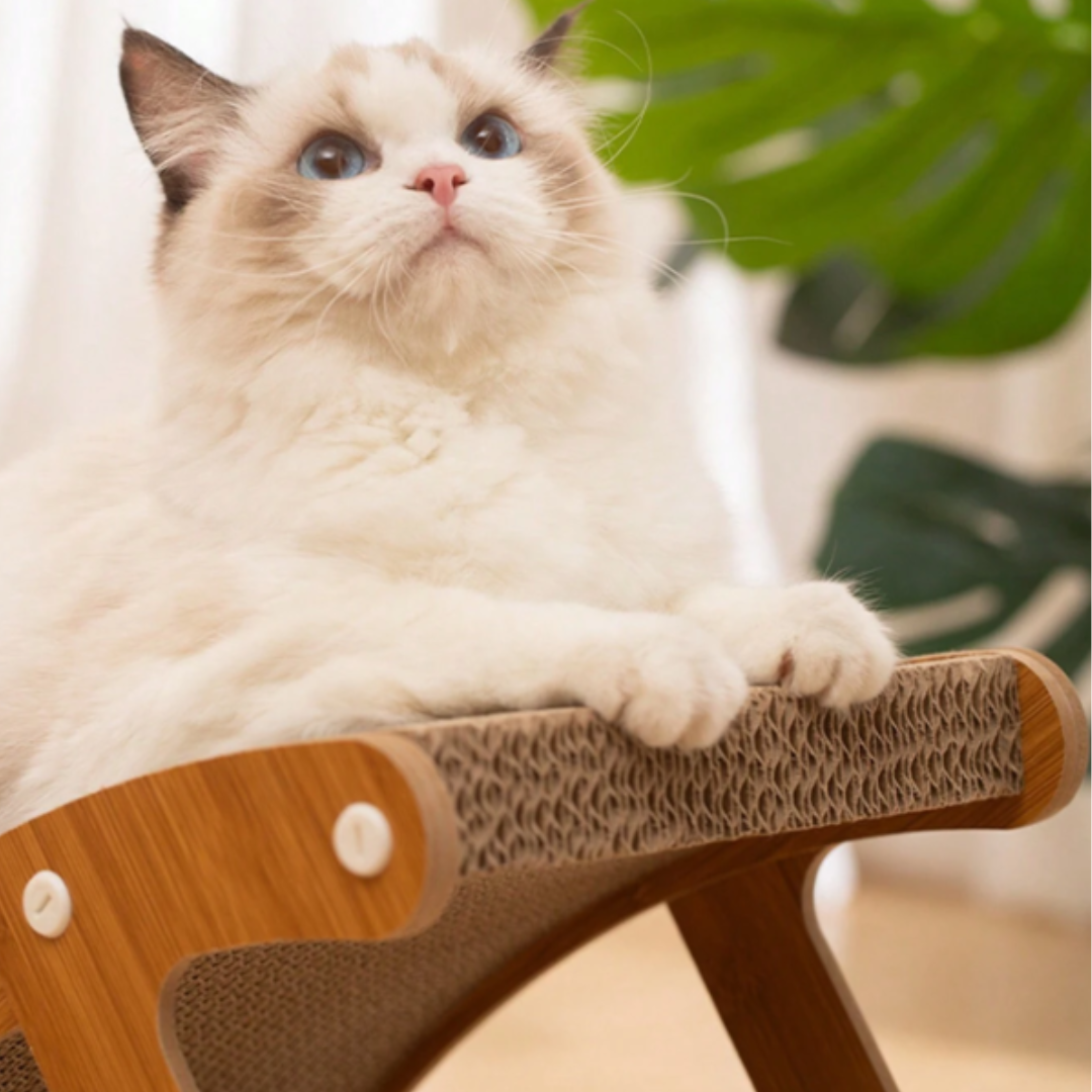 Rascador Curvo para Gato