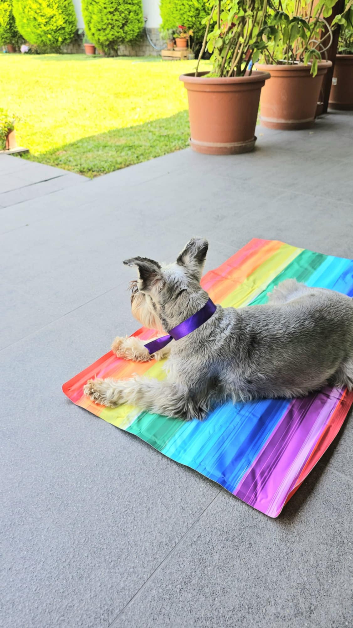 Cool Mat Multicolor