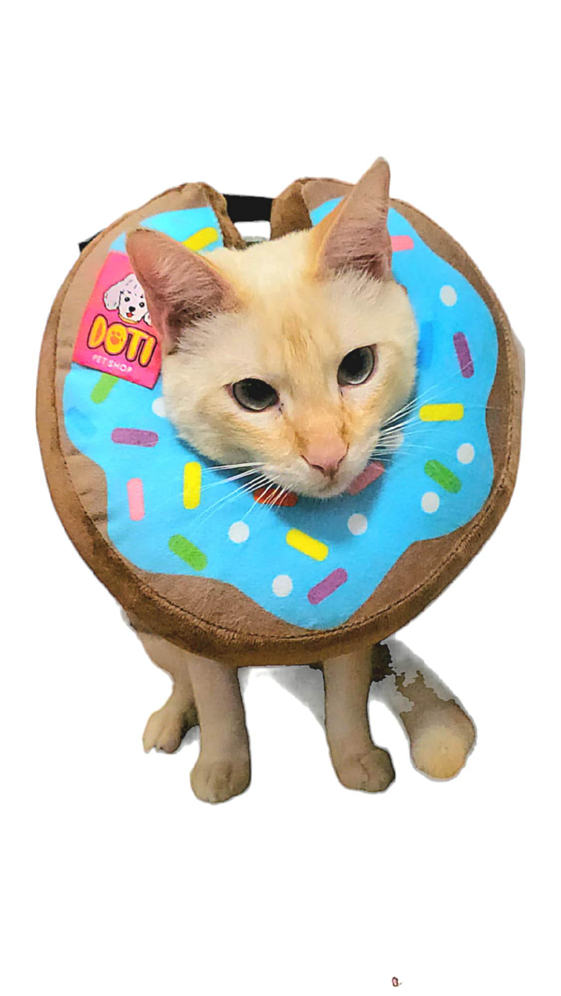 Collar Isabellino - Donut Celeste