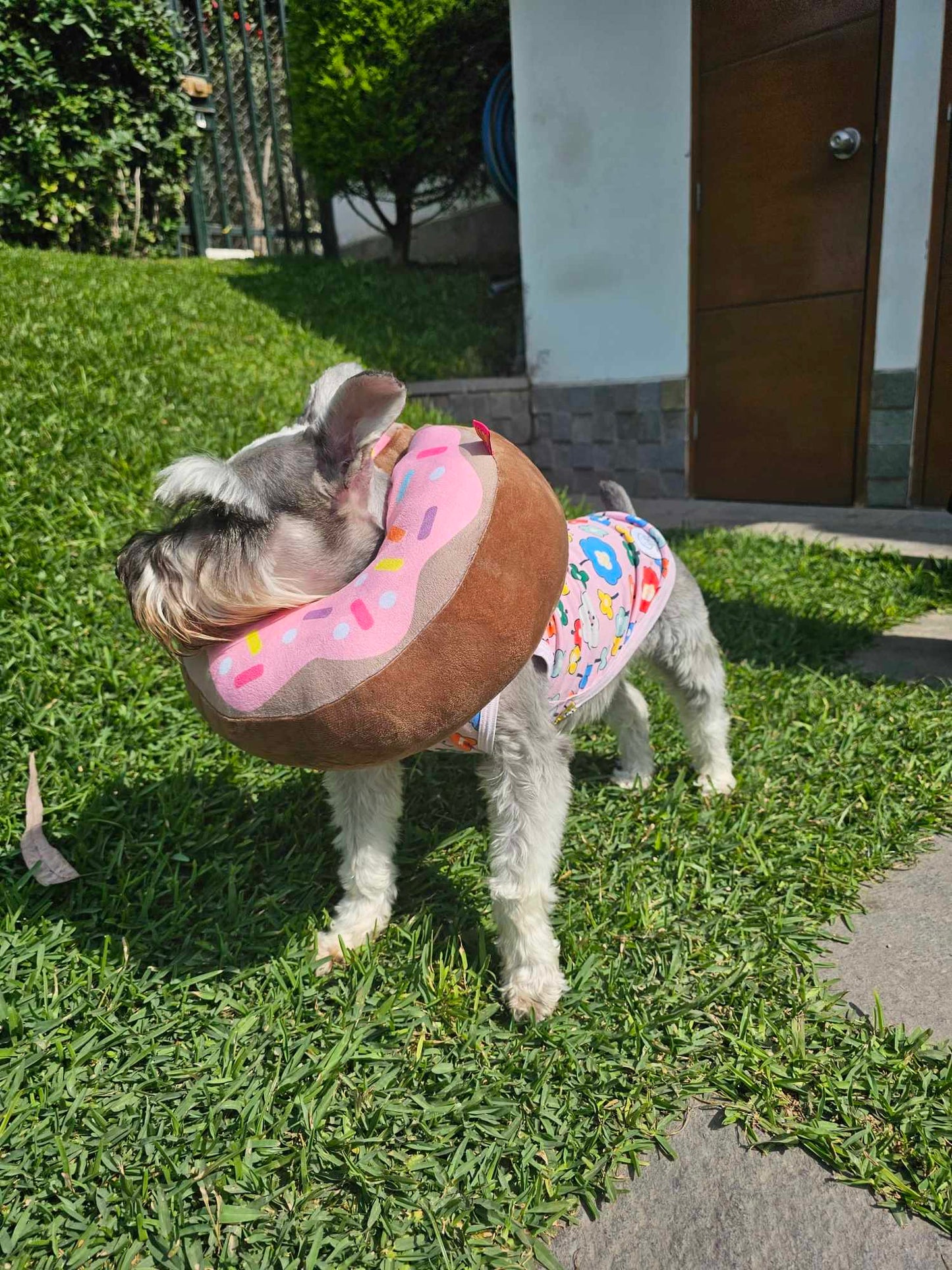 Collar Isabellino - Donut Rosa