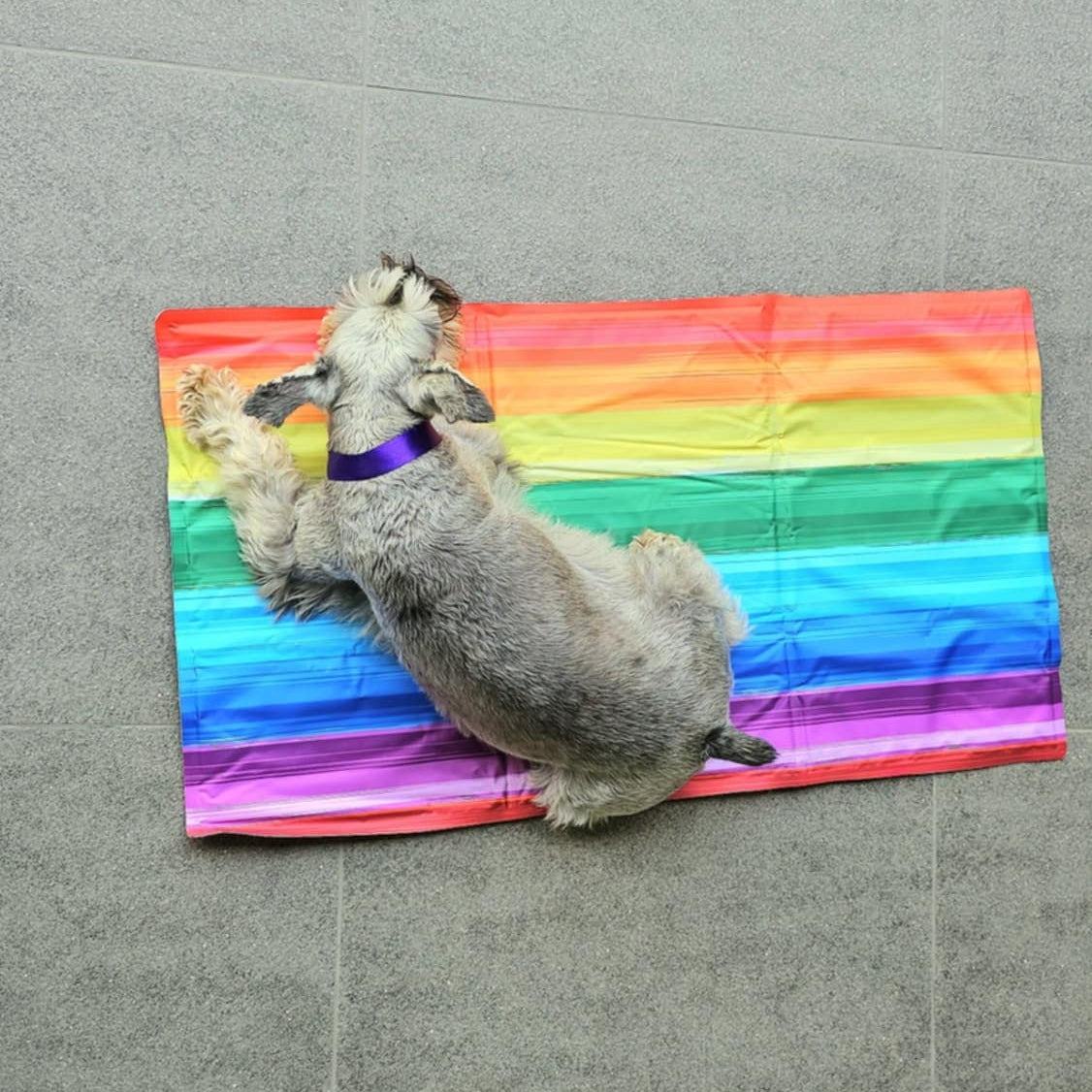 Cool Mat Multicolor