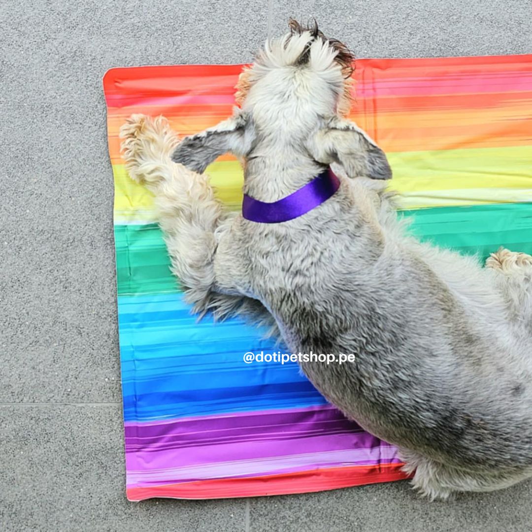 Cool Mat Multicolor
