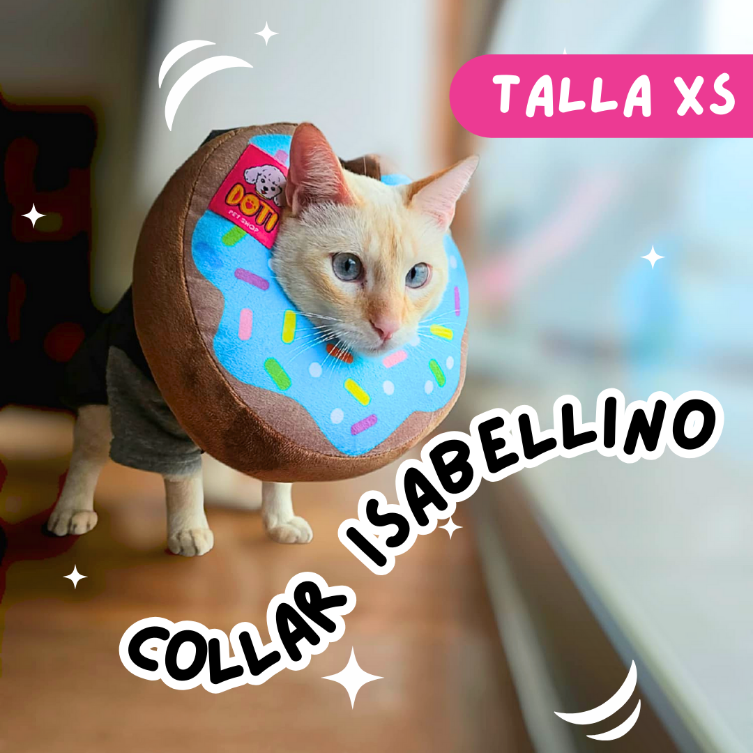 Collar Isabellino - Donut Celeste