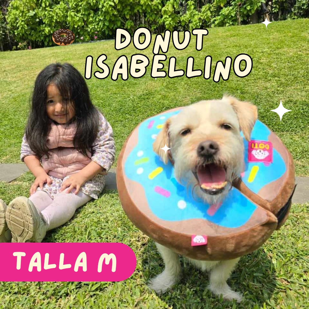 Collar Isabellino - Donut Celeste