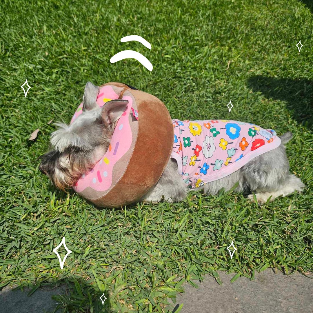 Collar Isabellino - Donut Rosa