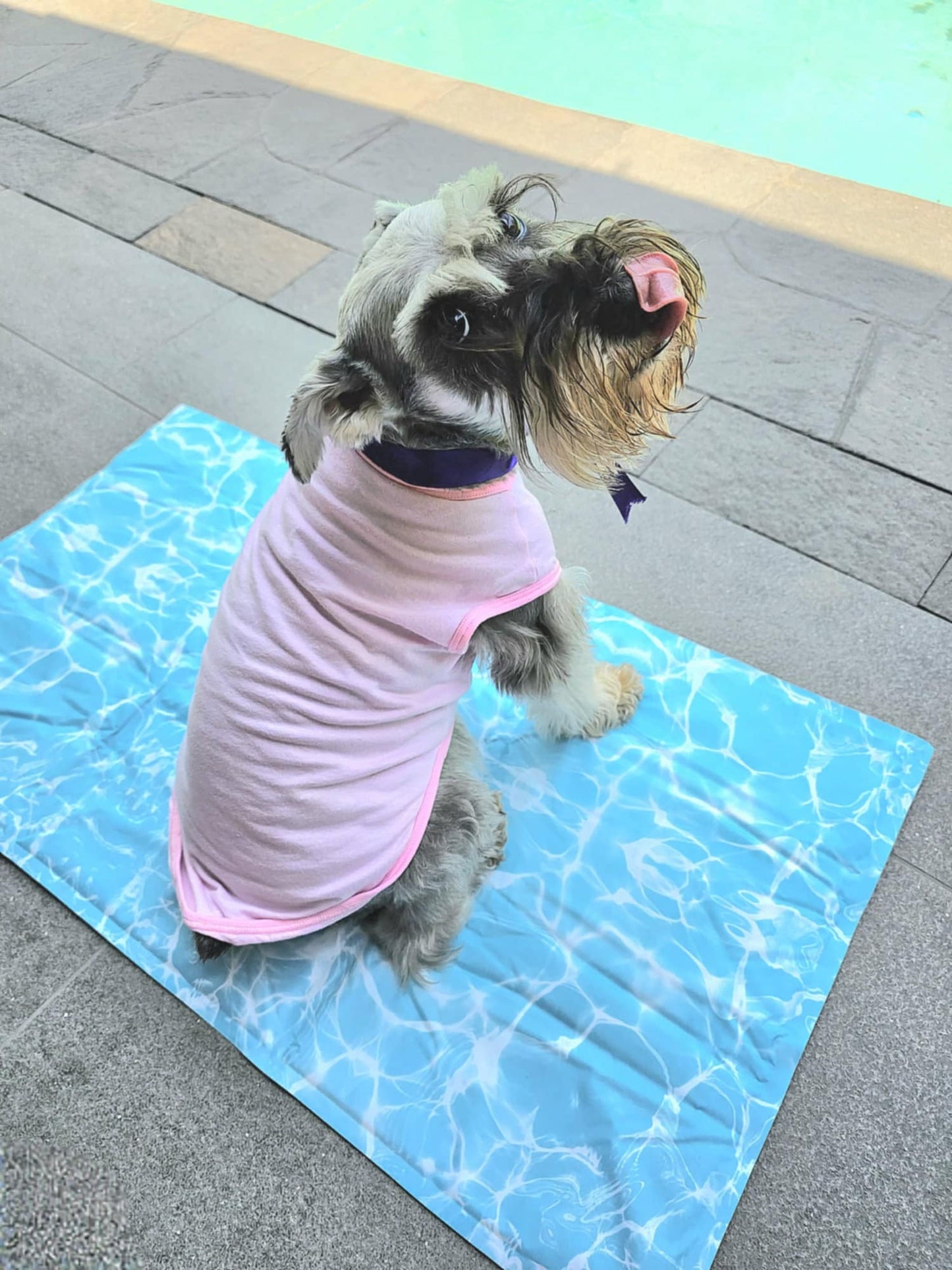 Cool Mat Agua
