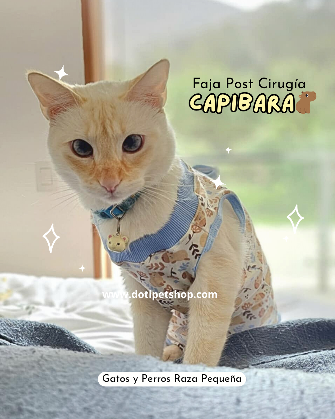 Faja Pink Capibara