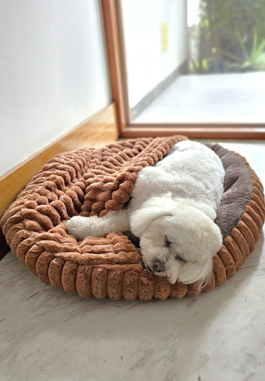 Cama Cueva Premium 80cm