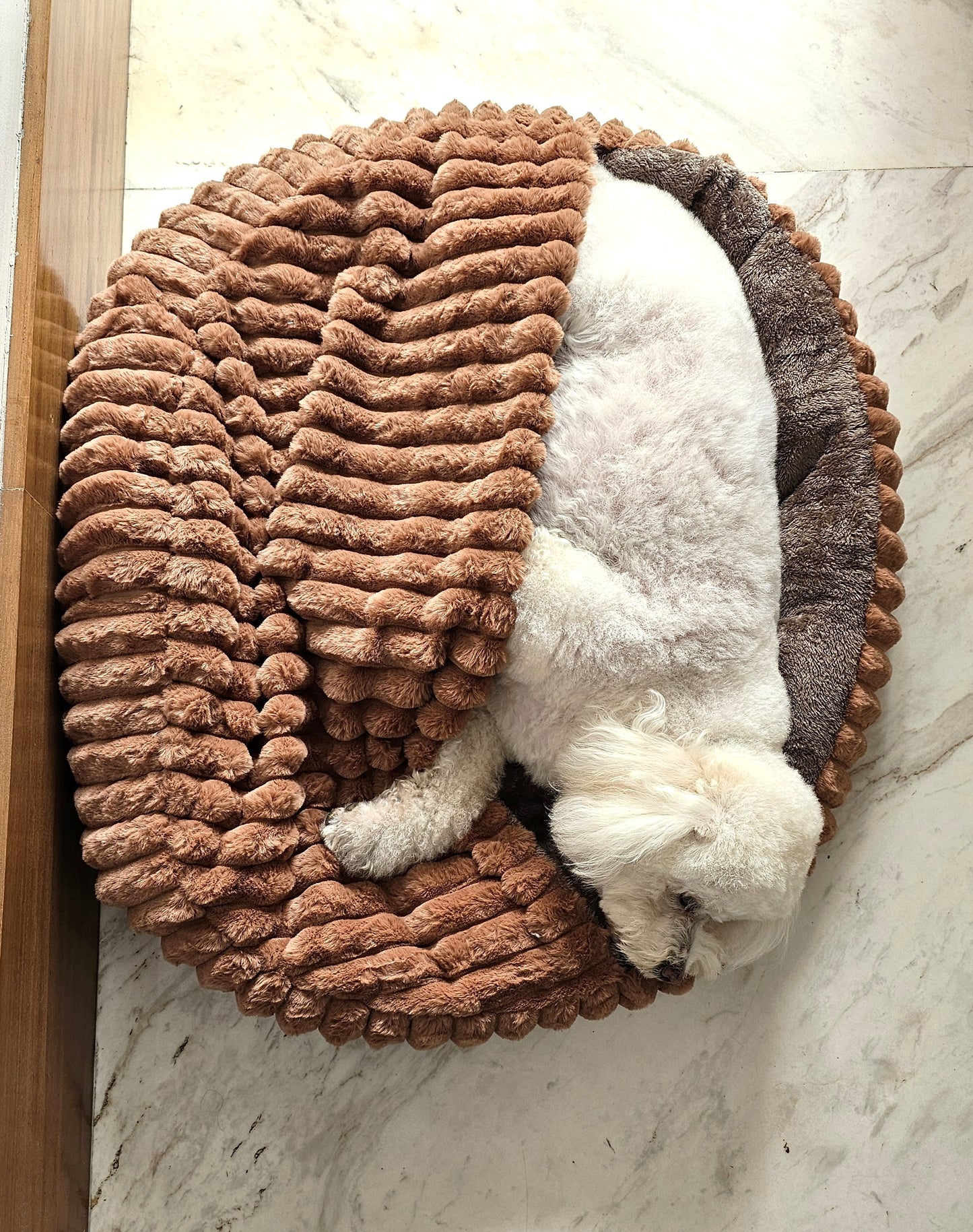 Cama Cueva Premium 80cm