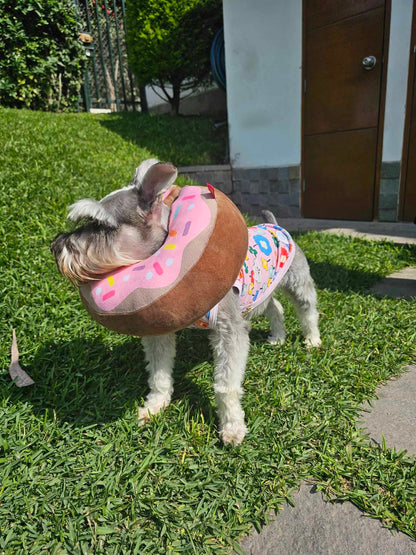 Collar Isabellino - Donut Rosa