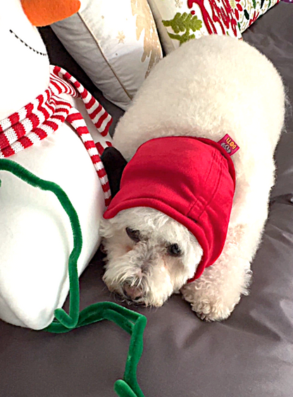 Orejera Reductores de Ruido para Mascotas Rojo