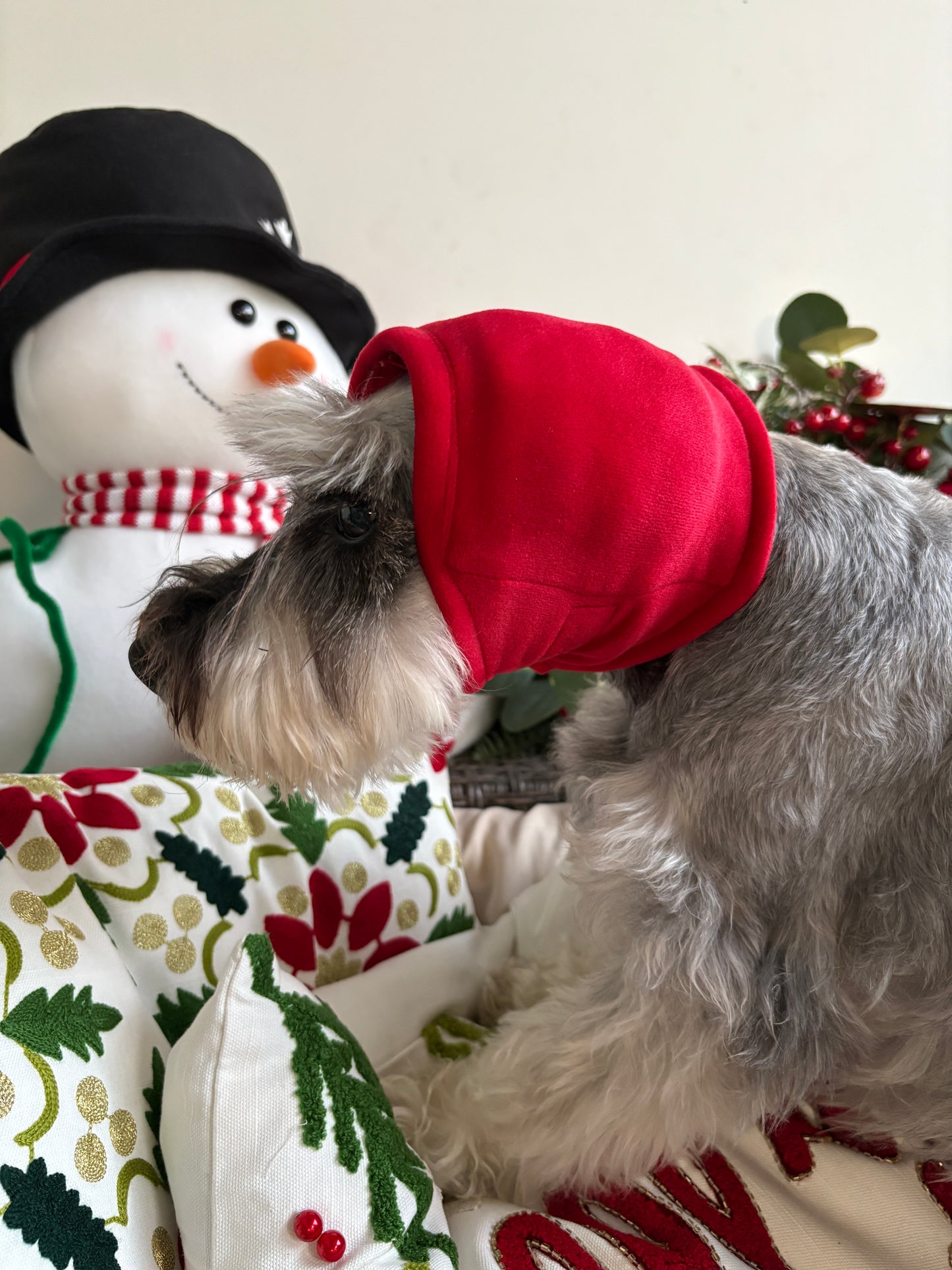 Orejera Reductores de Ruido para Mascotas Rojo