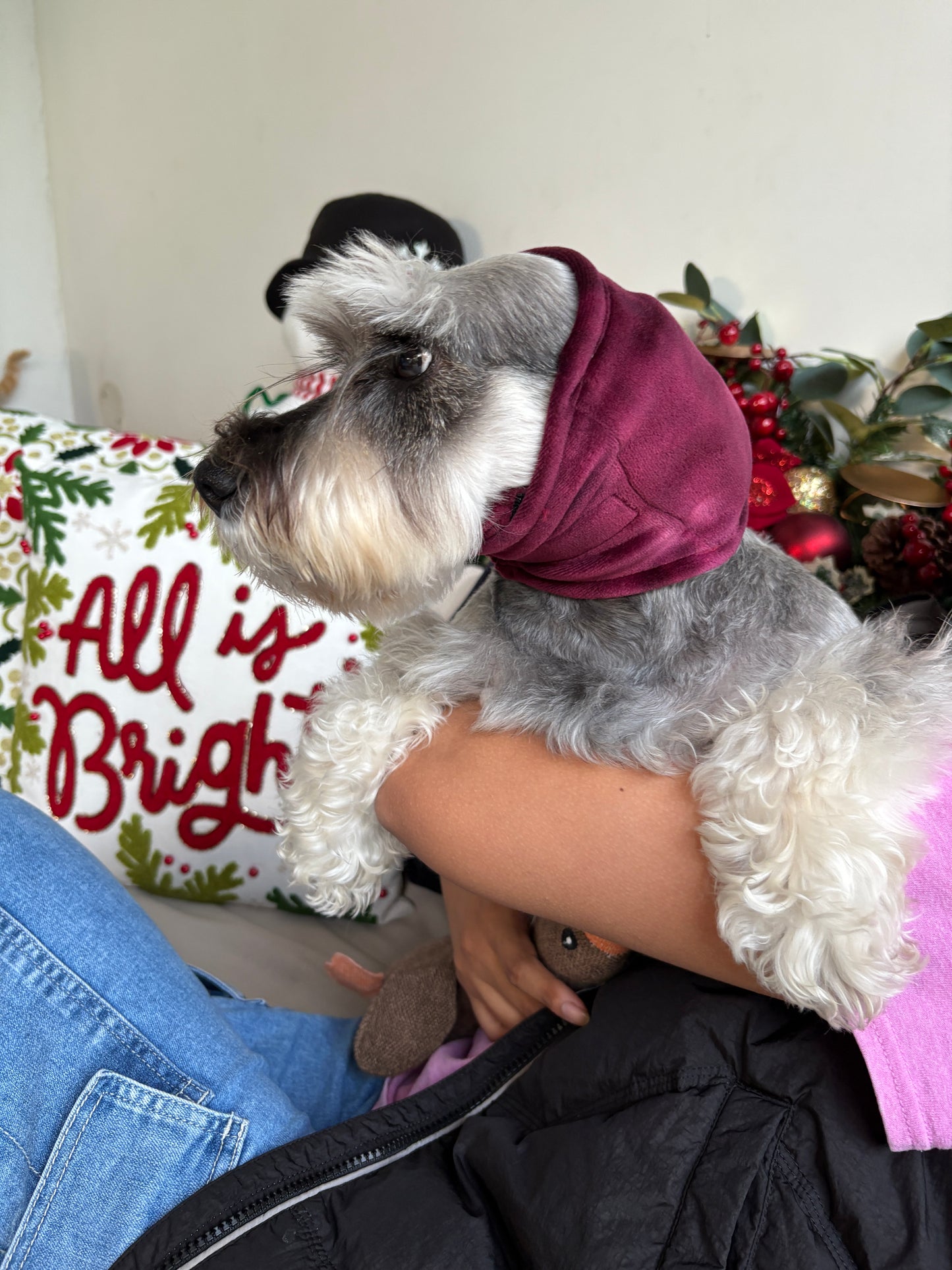 Orejera Reductores de Ruido para Mascotas Guinda