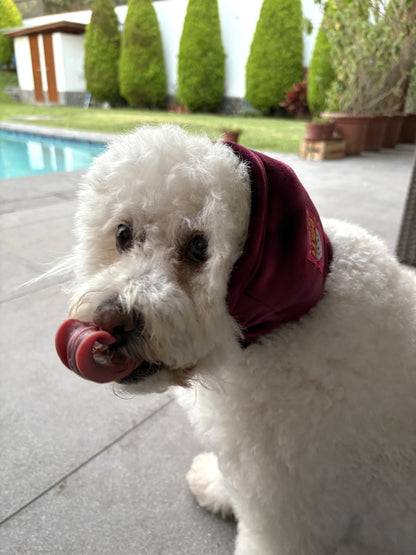 Orejera Reductores de Ruido para Mascotas Guinda