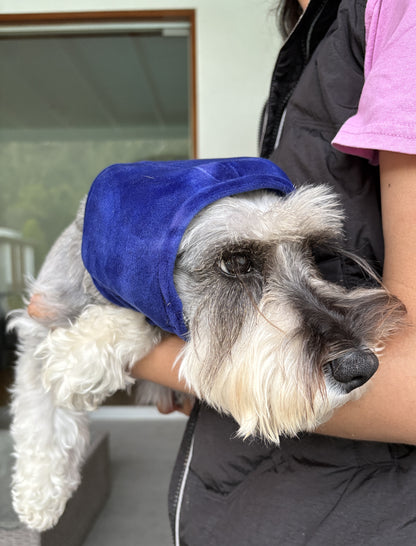 Orejera Reductores de Ruido para Mascotas Azul