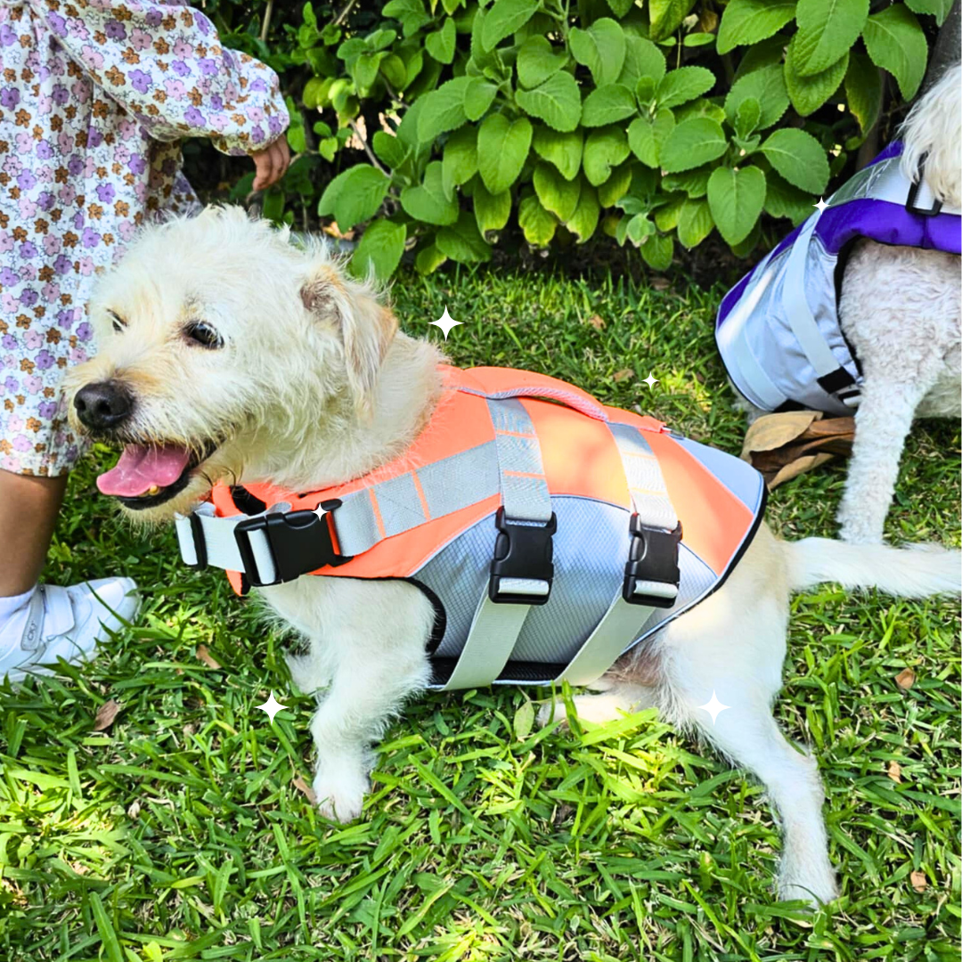 Chaleco Flotador para Perro Naranja