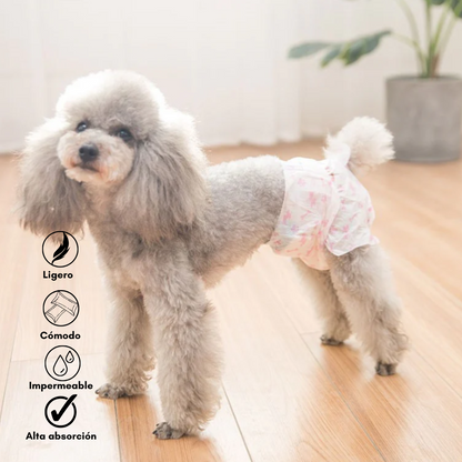 Pañales para perros: Hembras