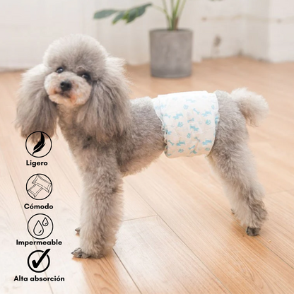 Pañales para perros: Machos