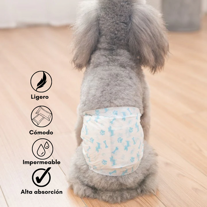 Pañales para perros: Machos
