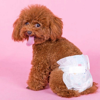 Pañales para perros: Hembras