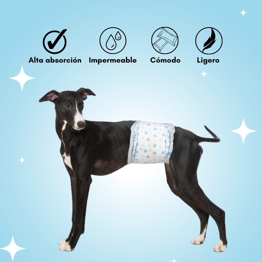 Pañales para perros: Machos