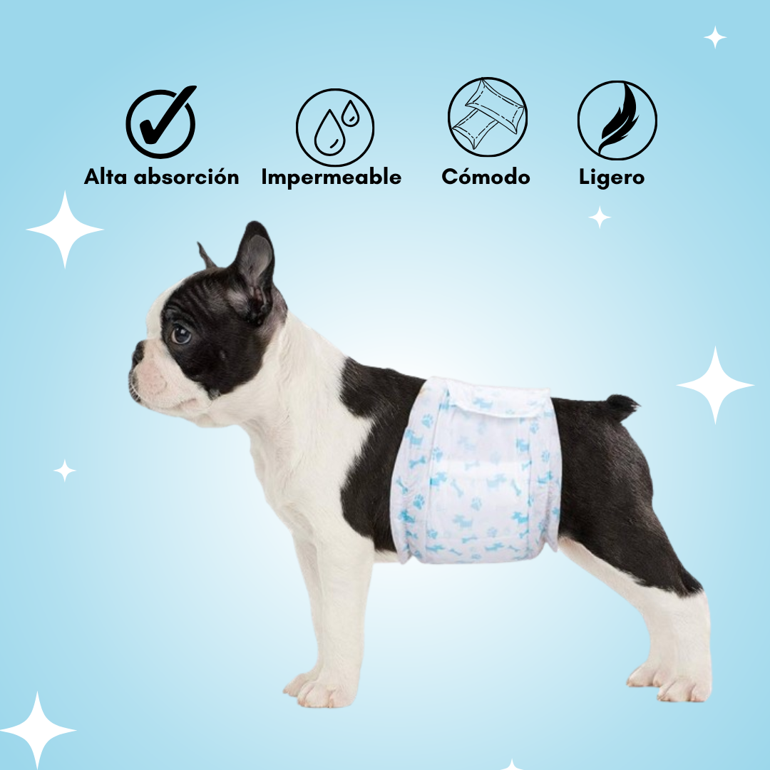 Pañales para perros: Machos