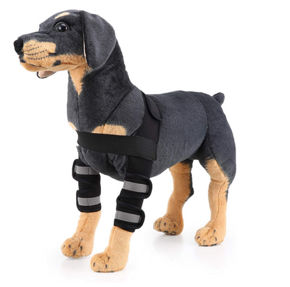 Protector de Rodilla Traseras para Perro