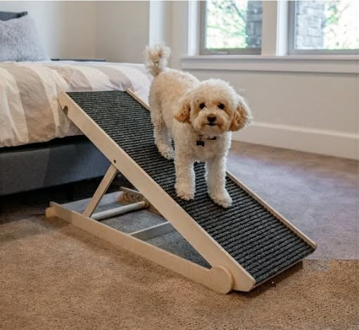 Rampa para Mascota