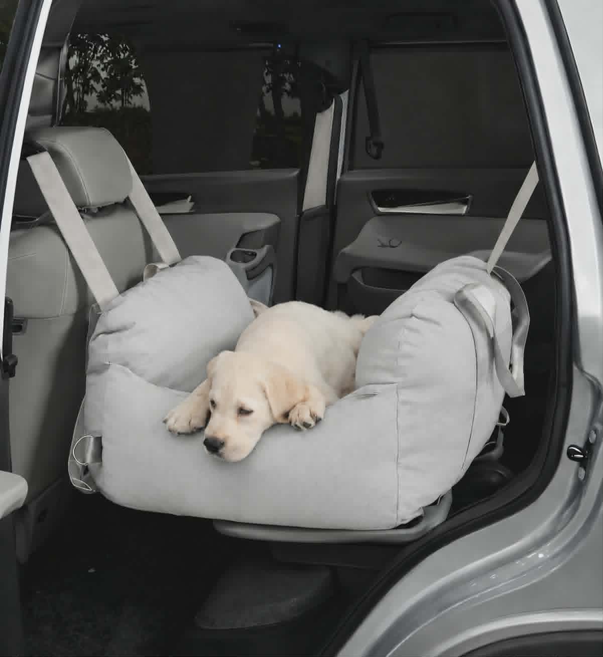 Asiento de Carro para Mascota