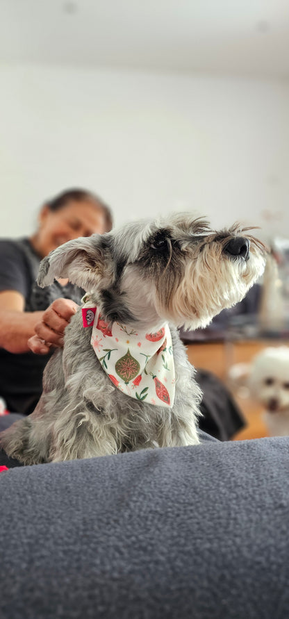 Bandana Jingle Bell