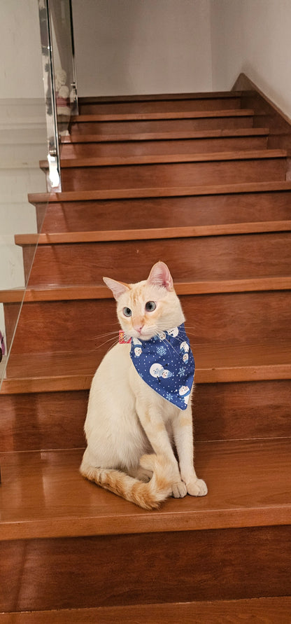Bandana Snowman