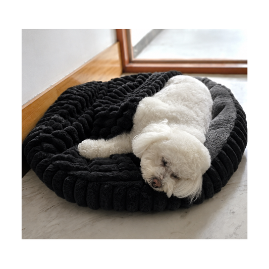 Cama Cueva Premium 80cm