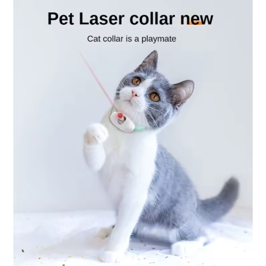 Collar Láser