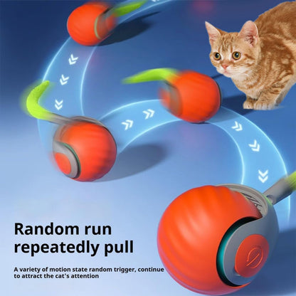 Pelota interactiva Recargable