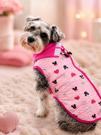 Chaleco para mascota