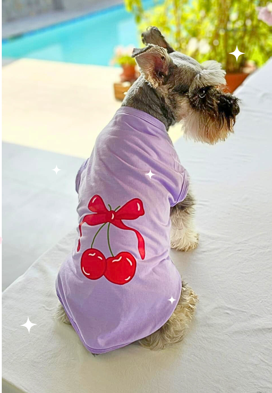 Polo de Algodón Chery Lila